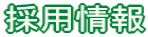 �̗p���